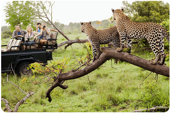 Best Resort in Jawai Best Resort in Jawai
