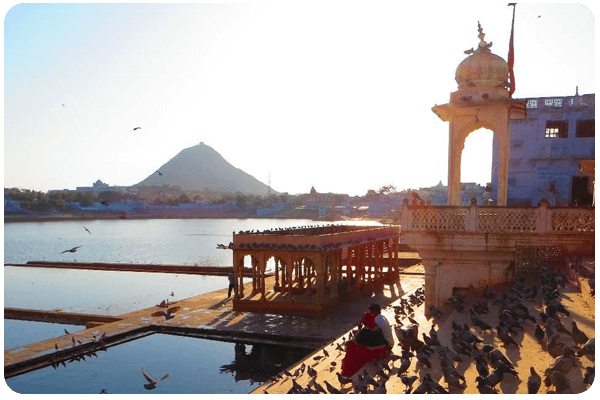 Best Resort in Jawai